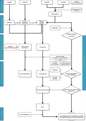 An Oxidative Stress-Related Gene Pair (CCNB1/PKD1), Competitive Endogenous RNAs, and Immune-Infiltration Patterns Potentially Regulate Intervertebral Disc Degeneration Development